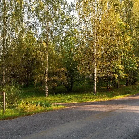 Дом отдыха Anni Puhkebaas *